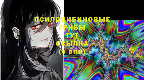 2c-b Алзамай
