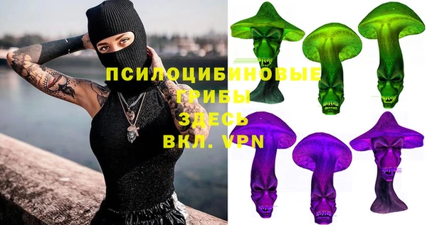 прущие грибы Алексеевка