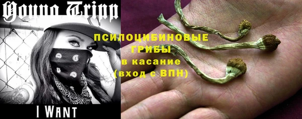 прущие грибы Алексеевка
