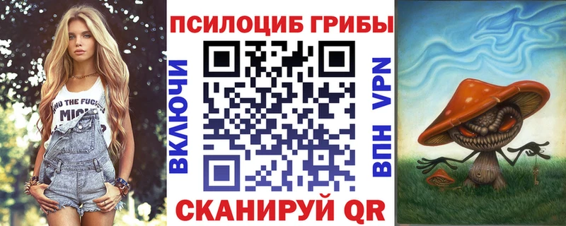блэк спрут tor  Сосенский  Псилоцибиновые грибы MAGIC MUSHROOMS 